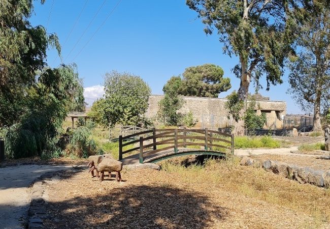 פארק עורבים וארמון המלך האמיר פאעור