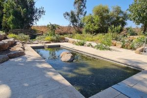 פארק עורבים וארמון המלך האמיר פאעור