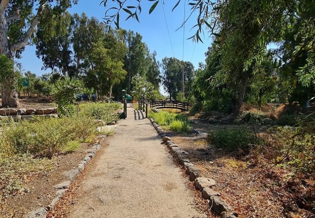 פארק עורבים וארמון המלך האמיר פאעור