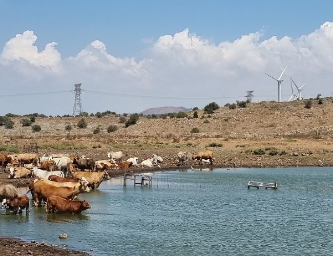 בריכת בראון – באב אל הווא שער הרוחות