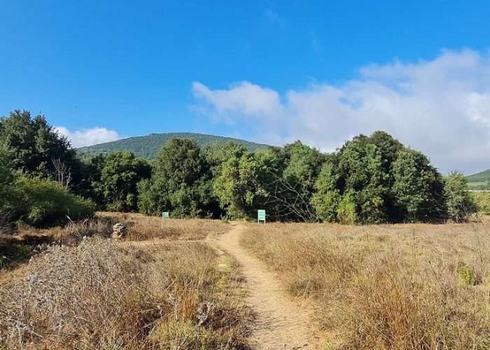 שמורת הטבע מער פער