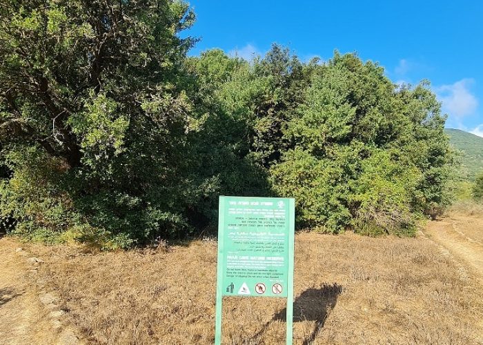 שמורת הטבע מער פער