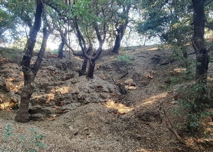 שמורת הטבע מער פער