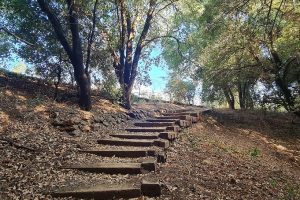 שמורת הטבע מערת פער