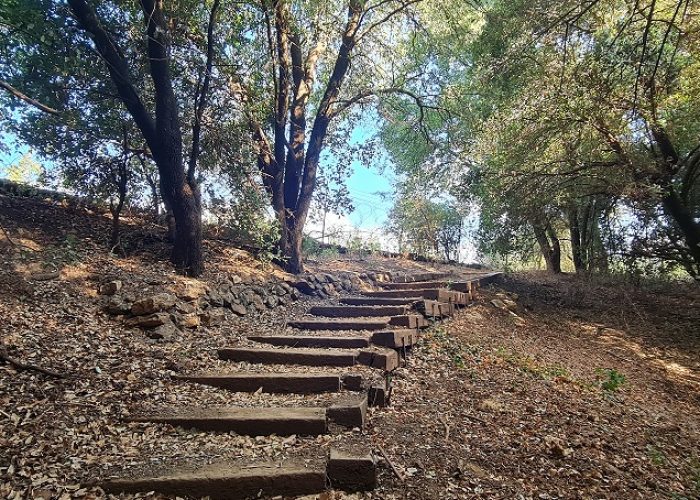 שמורת הטבע מערת פער