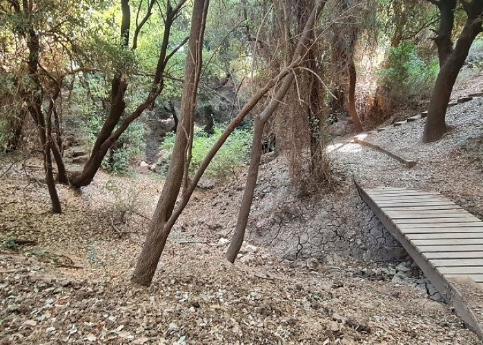 שמורת הטבע מער פער