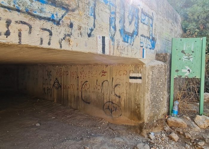 נחל מירון עליון עין ארואי