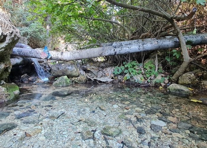 נחל מירון עליון עין ארואי