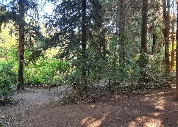 נחל מירון עליון עין ארואי