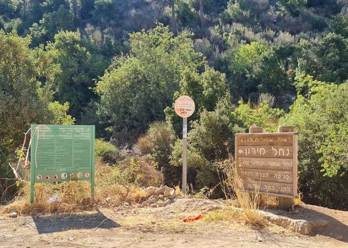נחל מירון עליון עין ארואי