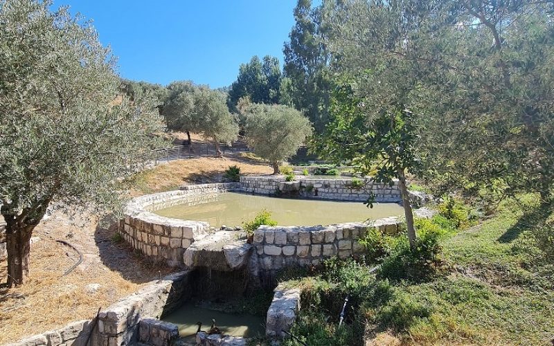 פארק עמק התכלת