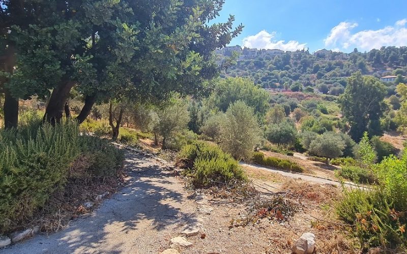 פארק עמק התכלת