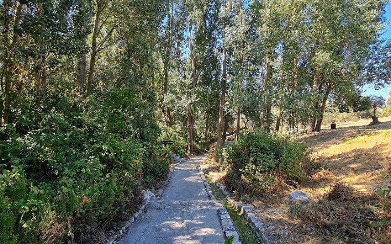 פארק עמק התכלת