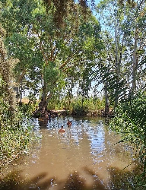 עין צנובר גן ראובן