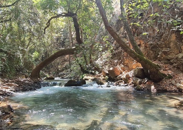 נחל חרמון הבניאס תיכון מסלול מקיבוץ שניר לשאר ישוב