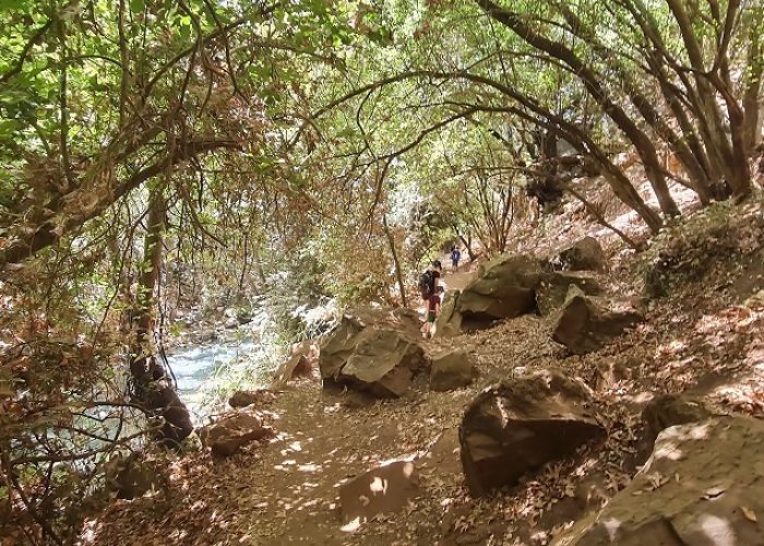 נחל חרמון הבניאס תיכון מסלול מקיבוץ שניר לשאר ישוב