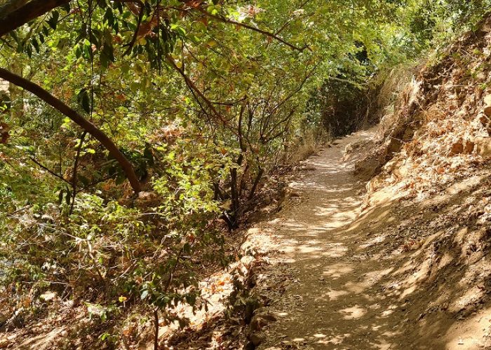 נחל חרמון הבניאס תיכון מסלול מקיבוץ שניר לשאר ישוב