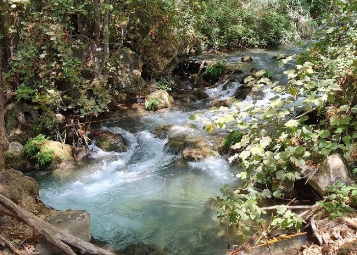 נחל חרמון הבניאס תיכון מסלול מקיבוץ שניר לשאר ישוב