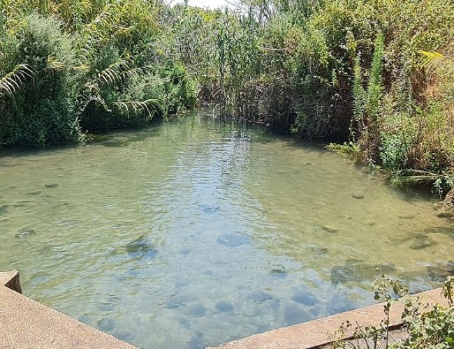 טיולי הדן קיבוץ דפנה