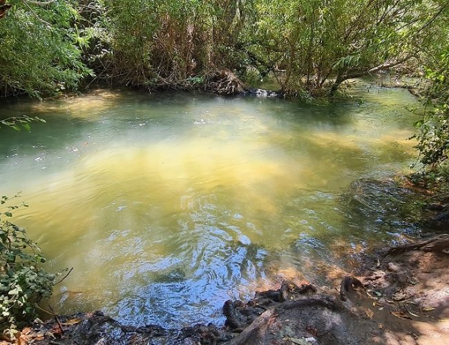 טיולי הדן קיבוץ דפנה