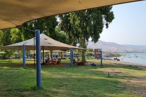 חוף דוגה חוף שקט בכנרת