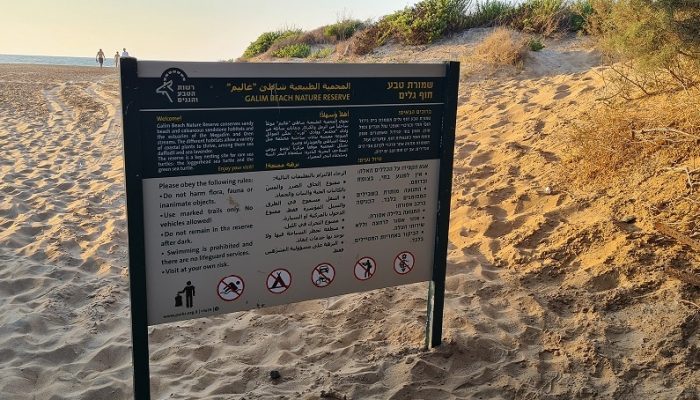 סיור של רשות הטבע והגנים בעקבות בקיעת צבי הים – אבקועים