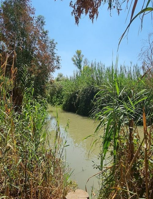 בית לאה – גן לאומי ירקון מקורות הירקון