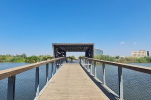 פארק האגם האקולוגי בהוד השרון