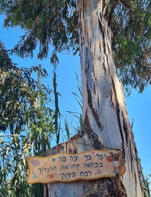 המפל הנסתר שמקורות הירקון