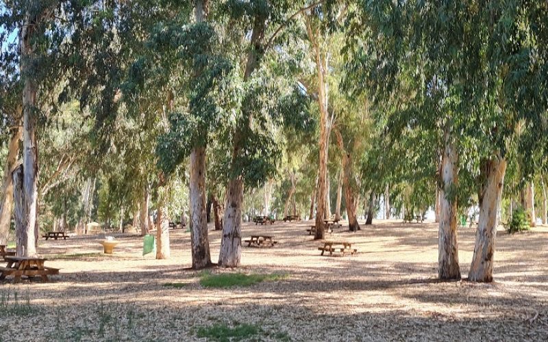 גן לאומי ירקון מקורות הירקון