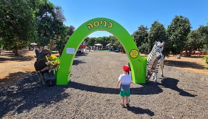 רוי בוי הפארק – טבע, חיות, אטרקציות ומופע של רוי בוי