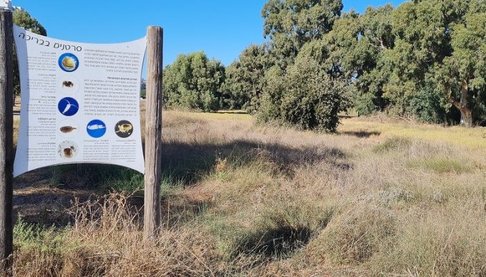פארק שלולית החורף ושמורת האירוסים בנתניה
