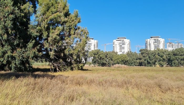 פארק שלולית החורף ושמורת האירוסים בנתניה