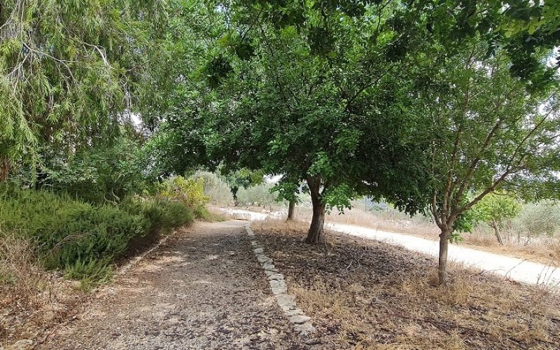 שביל אוהד - סובב נופית