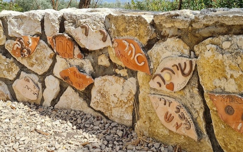 שביל אוהד - סובב נופית