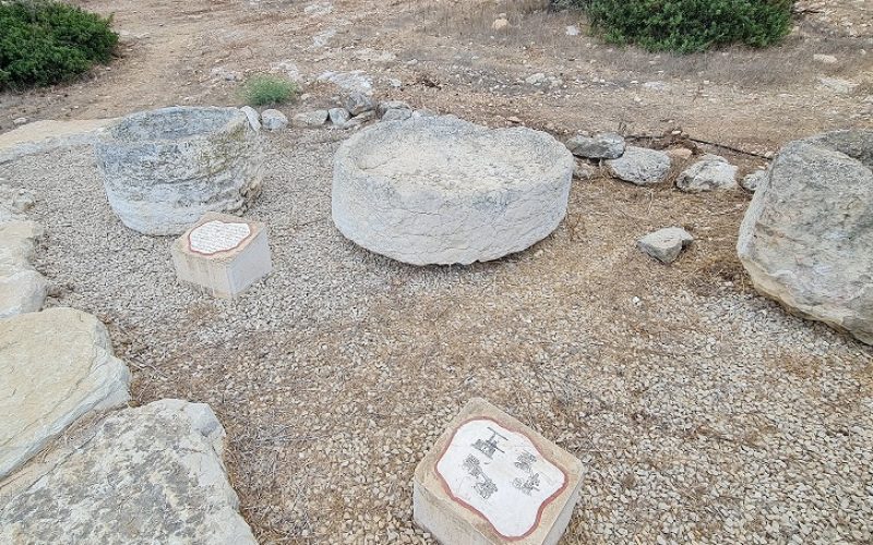 שביל אוהד - סובב נופית