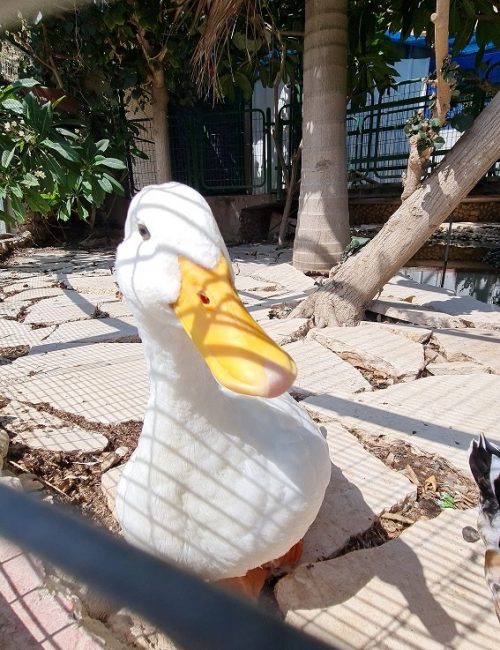 נחל קרת פארק יקנעם