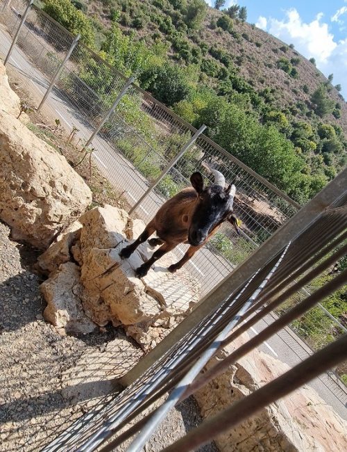 נחל קרת פארק יקנעם