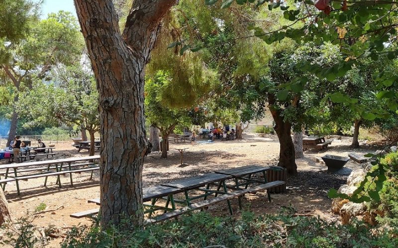 פארק שוני – פארק ז'בוטינסקי