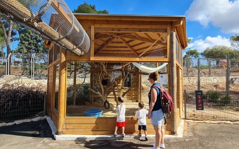 נופארק – הפארק העירוני בנוף הגליל