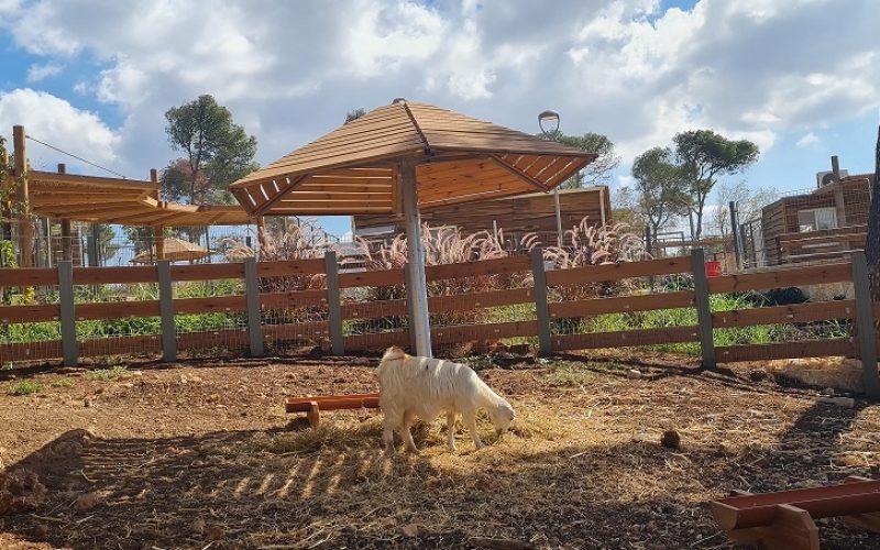 נופארק – הפארק העירוני בנוף הגליל