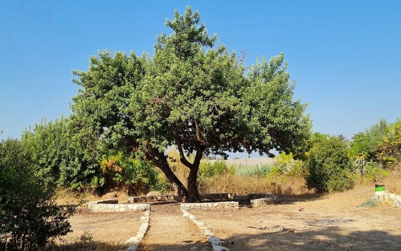 אנדרטת שיירת יחיעם - בנתיב השיירה ליחיעם