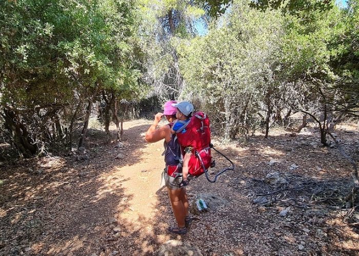 נחל נריה ונחל מורן - טיול בחורש ים תיכוני ופריחה עוניתית