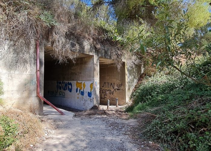 עין ערבות – נחל דישון