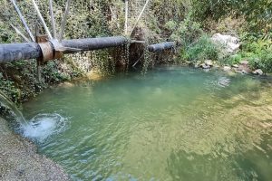 עין ערבות – נחל דישון