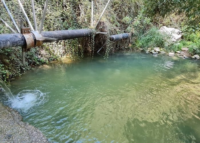 עין ערבות – נחל דישון