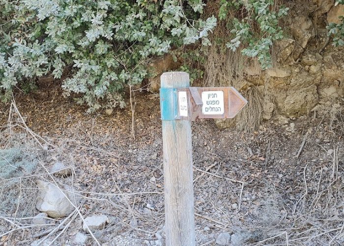 עין ערבות – נחל דישון