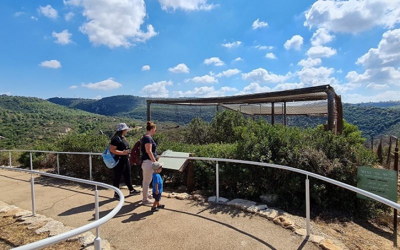 שמורת הטבע חי בר כרמל
