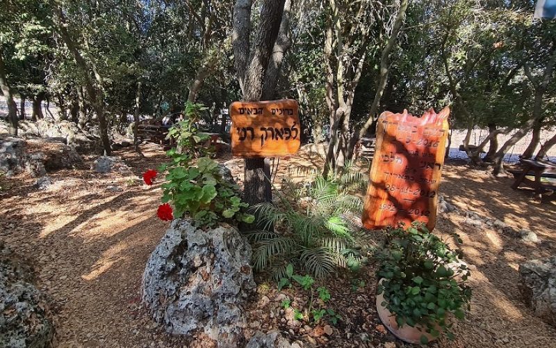 פארק ראני חלבי – דלית אל כרמל