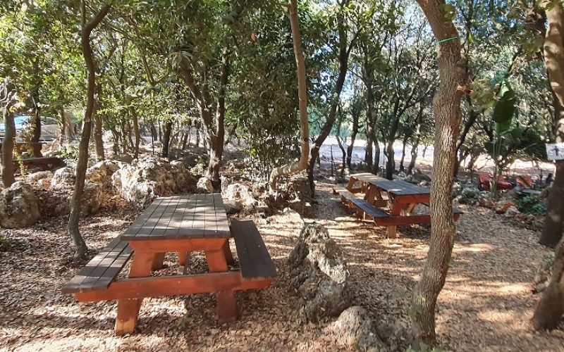 פארק ראני חלבי – דלית אל כרמל